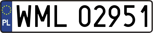 WML02951