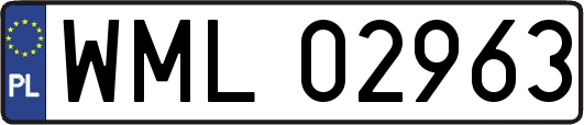 WML02963