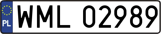 WML02989