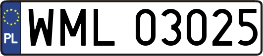 WML03025