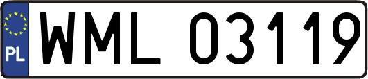 WML03119