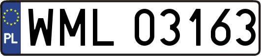 WML03163