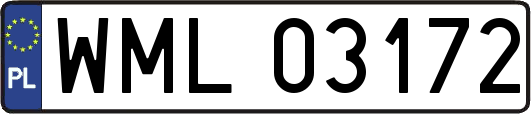 WML03172
