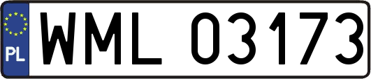 WML03173