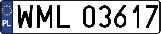 WML03617