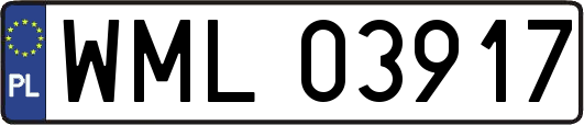 WML03917
