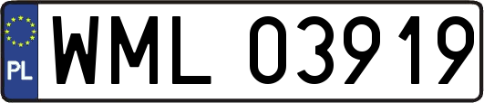 WML03919