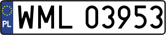 WML03953