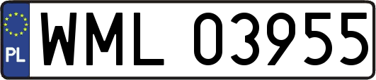 WML03955