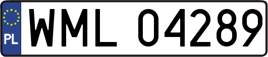 WML04289