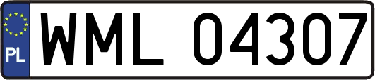 WML04307
