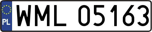 WML05163