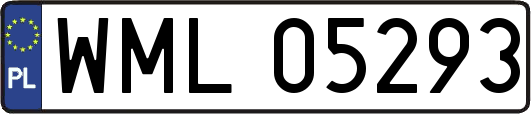 WML05293