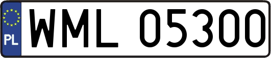 WML05300