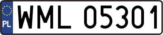 WML05301