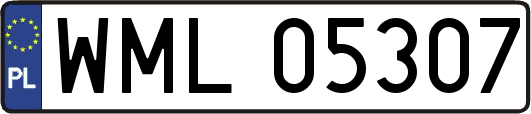 WML05307