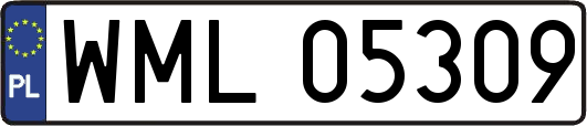 WML05309