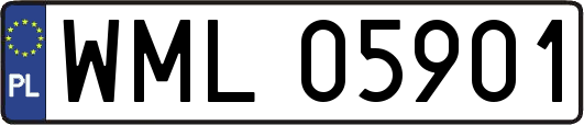 WML05901