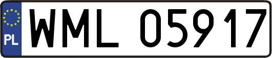 WML05917