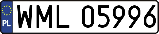 WML05996