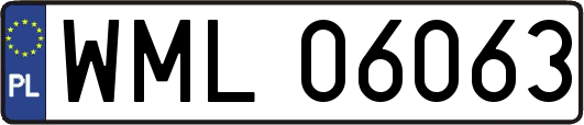 WML06063
