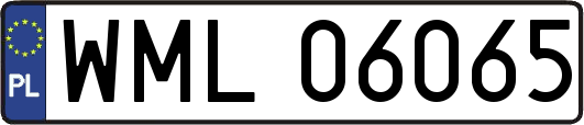 WML06065