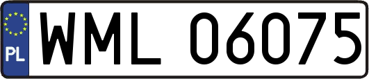 WML06075