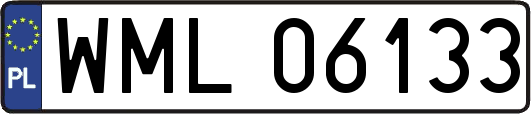 WML06133