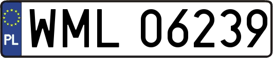 WML06239