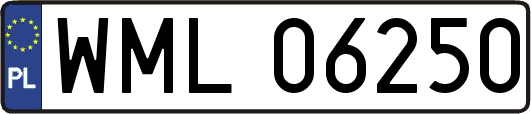 WML06250