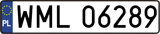 WML06289