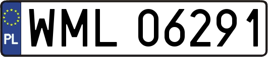 WML06291