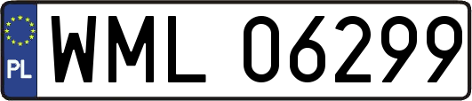 WML06299
