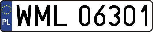 WML06301