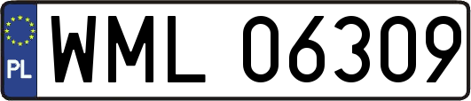WML06309