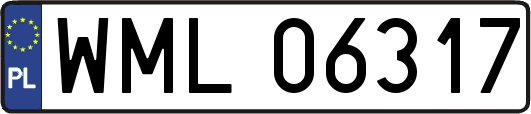 WML06317