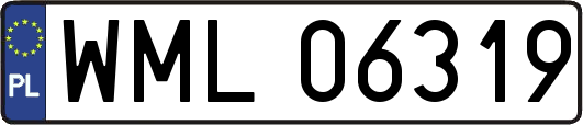 WML06319