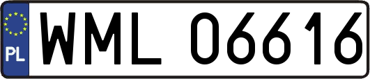 WML06616