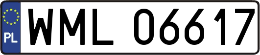 WML06617