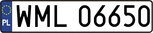 WML06650