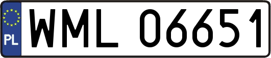 WML06651