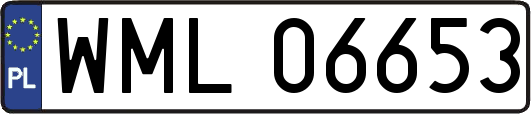 WML06653