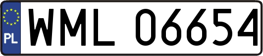 WML06654