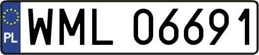 WML06691