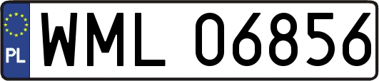 WML06856