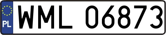 WML06873