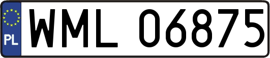 WML06875