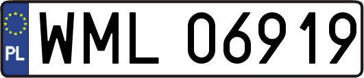 WML06919
