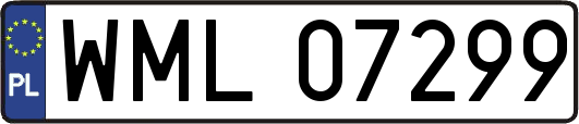 WML07299