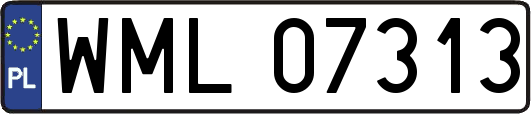 WML07313